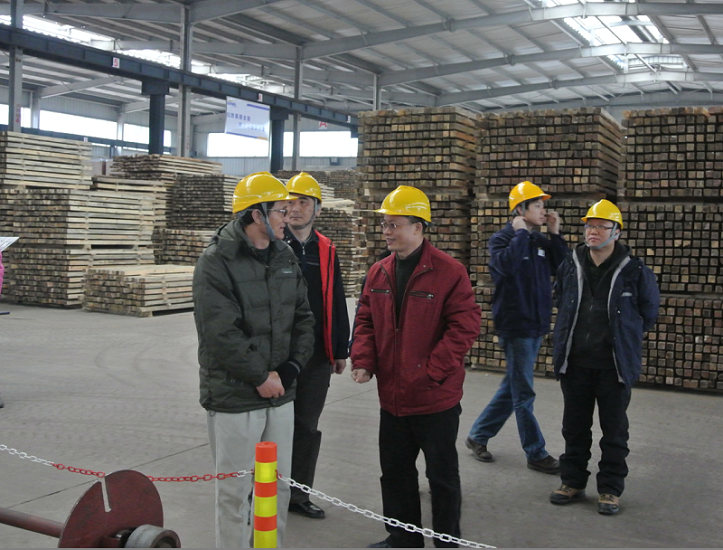 廣日集團黨委書記楊全根一行蒞臨成分司視察指導工作